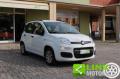usato FIAT Panda