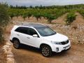 usato KIA Sorento