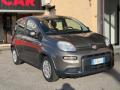 usato FIAT Panda