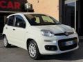 usato FIAT Panda