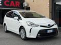 usato TOYOTA Prius+