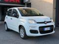 usato FIAT Panda