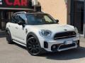 usato MINI Countryman