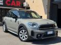 usato MINI Countryman