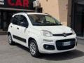 usato FIAT Panda