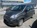 usato FIAT Panda