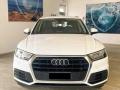 usato AUDI Q5