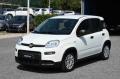 usato FIAT Panda