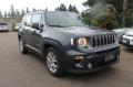 usato JEEP Renegade