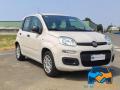 usato FIAT Panda