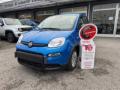 usato FIAT Panda