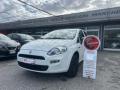 usato FIAT Punto