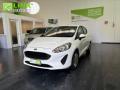 usato FORD Fiesta
