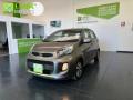 usato KIA Picanto