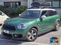 usato MINI Countryman