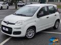 usato FIAT Panda
