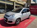 usato FIAT Panda