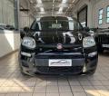 usato FIAT Panda