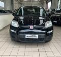 usato FIAT Panda
