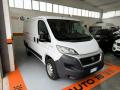 usato FIAT Ducato