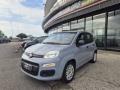 usato FIAT Panda