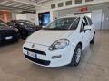 usato FIAT Punto