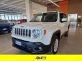 usato JEEP Renegade
