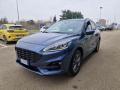 usato FORD Kuga