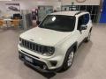 usato JEEP Renegade