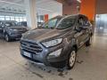usato FORD EcoSport