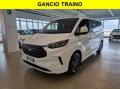 usato FORD Tourneo Custom