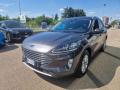 usato FORD Kuga