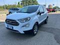 usato FORD EcoSport