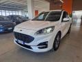 usato FORD Kuga