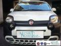 Km 0 FIAT Panda