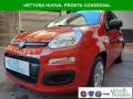 usato FIAT Panda