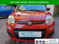 usato FIAT Panda