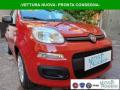 usato FIAT Panda