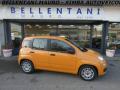 usato FIAT Panda