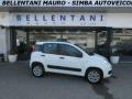 usato FIAT Panda