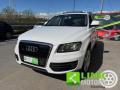 usato AUDI Q5