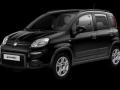 usato FIAT Panda