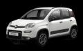 usato FIAT Panda