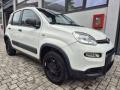 usato FIAT Panda