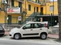 usato FIAT Panda