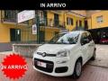 usato FIAT Panda