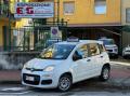 usato FIAT Panda