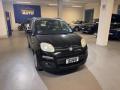 usato FIAT Panda