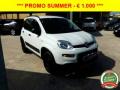 usato FIAT Panda