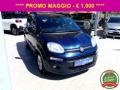 usato FIAT Panda